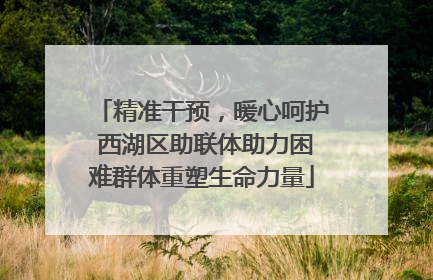精准干预，暖心呵护 西湖区助联体助力困难群体重塑生命力量