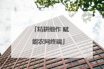 精耕细作 赋能农网终端