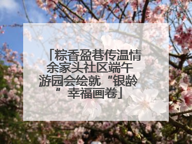粽香盈巷传温情 余家头社区端午游园会绘就“银龄”幸福画卷
