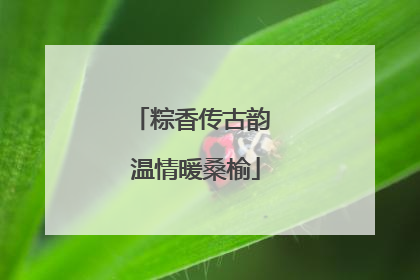 粽香传古韵 温情暖桑榆