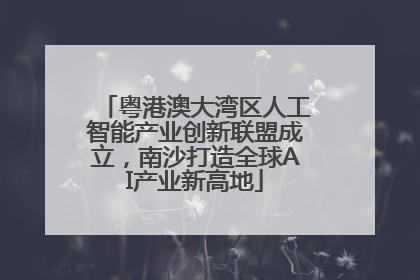 粤港澳大湾区人工智能产业创新联盟成立，南沙打造全球AI产业新高地