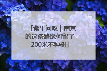 紫牛问政｜南京的这条路缘何留了200米不种树