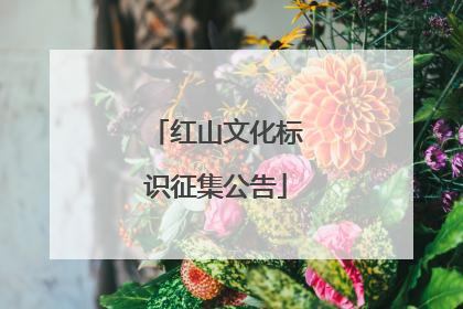 红山文化标识征集公告