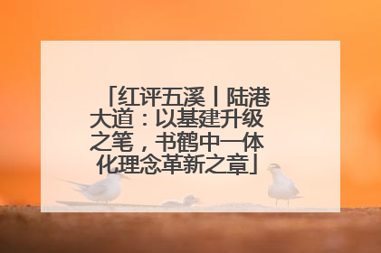 红评五溪丨陆港大道：以基建升级之笔，书鹤中一体化理念革新之章