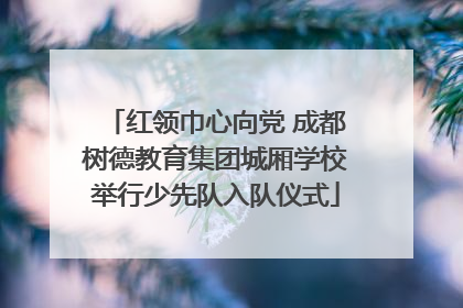 红领巾心向党 成都树德教育集团城厢学校举行少先队入队仪式