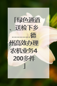 绿色通道、送检下乡…………德州高效办理农机业务4200多件