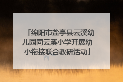 绵阳市盐亭县云溪幼儿园同云溪小学开展幼小衔接联合教研活动