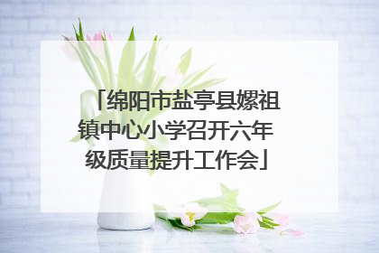 绵阳市盐亭县嫘祖镇中心小学召开六年级质量提升工作会