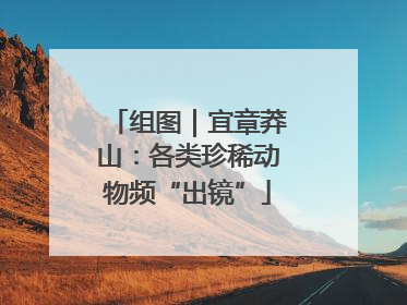 组图｜宜章莽山：各类珍稀动物频“出镜”