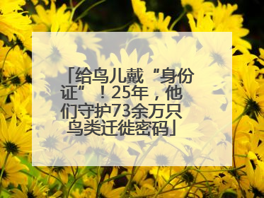 给鸟儿戴“身份证”！25年，他们守护73余万只鸟类迁徙密码