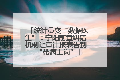 统计员变“数据医生”：宁阳前置纠错机制让审计报表告别“带病上岗”