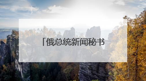 俄总统新闻秘书：待乌克兰回应备忘录草案 俄美乌领导人近期会晤可能性小