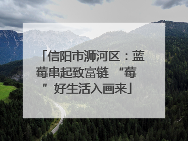 信阳市浉河区：蓝莓串起致富链 “莓”好生活入画来