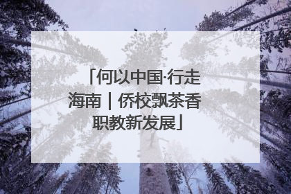 何以中国·行走海南｜侨校飘茶香 职教新发展