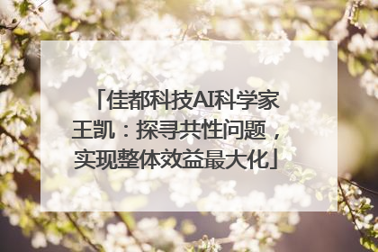 佳都科技AI科学家王凯：探寻共性问题，实现整体效益最大化