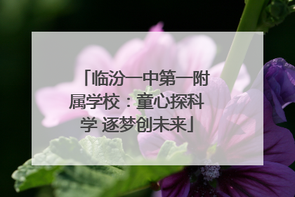 临汾一中第一附属学校：童心探科学 逐梦创未来
