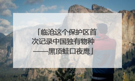 临沧这个保护区首次记录中国独有物种——黑顶蛙口夜鹰