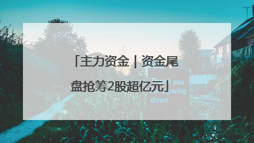 主力资金｜资金尾盘抢筹2股超亿元
