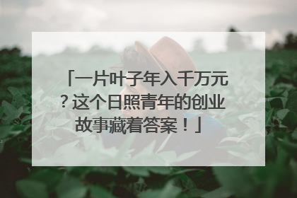 一片叶子年入千万元？这个日照青年的创业故事藏着答案！