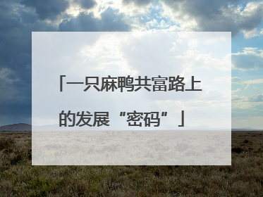 一只麻鸭共富路上的发展“密码”