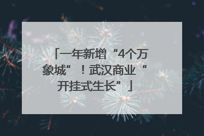 一年新增“4个万象城”！武汉商业“开挂式生长”