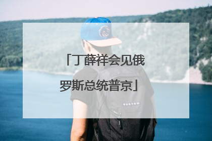 丁薛祥会见俄罗斯总统普京
