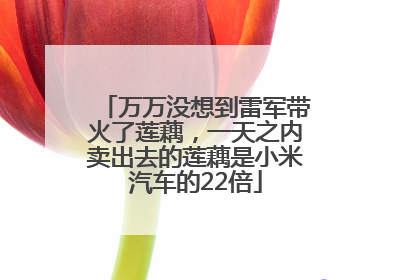 万万没想到雷军带火了莲藕，一天之内卖出去的莲藕是小米汽车的22倍