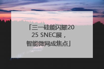 三一硅能闪耀2025 SNEC展，智能微网成焦点