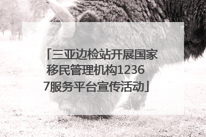 三亚边检站开展国家移民管理机构12367服务平台宣传活动