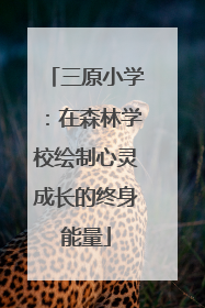 三原小学：在森林学校绘制心灵成长的终身能量