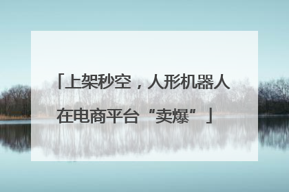 上架秒空，人形机器人在电商平台“卖爆”