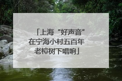 上海“好声音”在宁海小村五百年老樟树下唱响