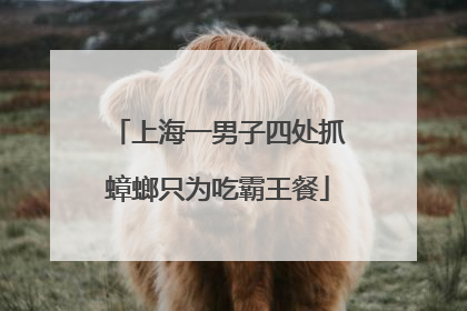 上海一男子四处抓蟑螂只为吃霸王餐