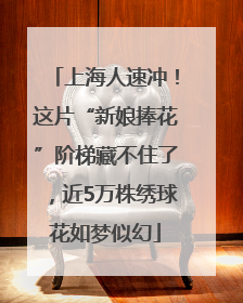 上海人速冲！这片“新娘捧花”阶梯藏不住了，近5万株绣球花如梦似幻