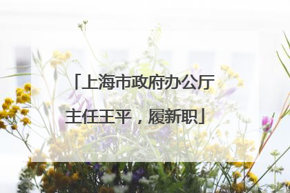 上海市政府办公厅主任王平，履新职