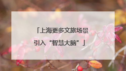 上海更多文旅场景引入“智慧大脑”