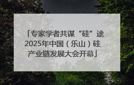 专家学者共谋“硅”途 2025年中国（乐山）硅产业链发展大会开幕