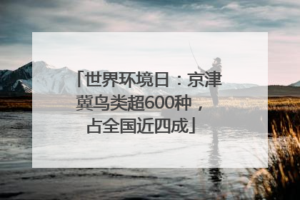 世界环境日：京津冀鸟类超600种，占全国近四成