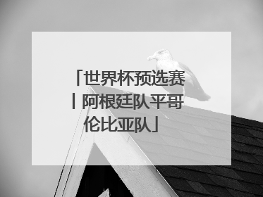 世界杯预选赛丨阿根廷队平哥伦比亚队