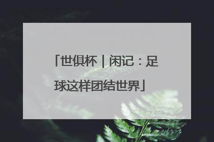 世俱杯｜闲记：足球这样团结世界
