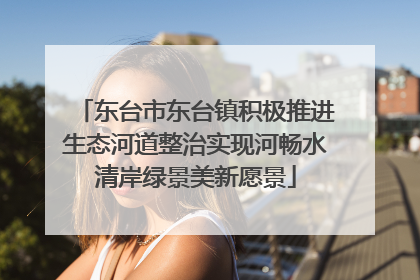 东台市东台镇积极推进生态河道整治实现河畅水清岸绿景美新愿景