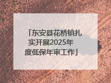 东安县花桥镇扎实开展2025年度低保年审工作