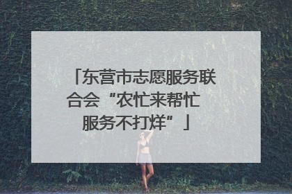 东营市志愿服务联合会“农忙来帮忙 服务不打烊”