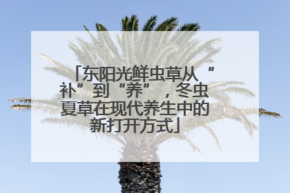 东阳光鲜虫草从“补”到“养”，冬虫夏草在现代养生中的新打开方式