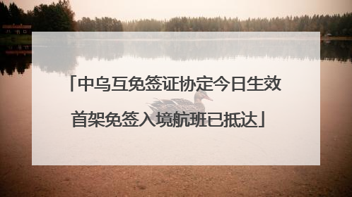 中乌互免签证协定今日生效 首架免签入境航班已抵达
