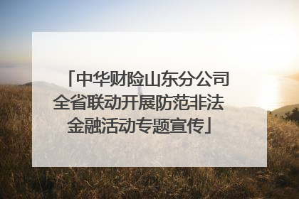 中华财险山东分公司全省联动开展防范非法金融活动专题宣传