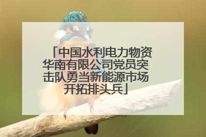 中国水利电力物资华南有限公司党员突击队勇当新能源市场开拓排头兵
