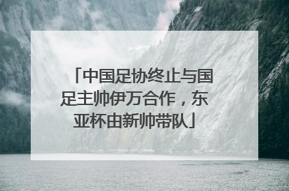 中国足协终止与国足主帅伊万合作，东亚杯由新帅带队