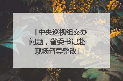 中央巡视组交办问题，省委书记赴现场督导整改