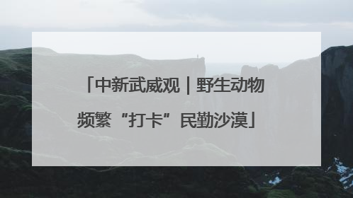 中新武威观｜野生动物频繁“打卡”民勤沙漠